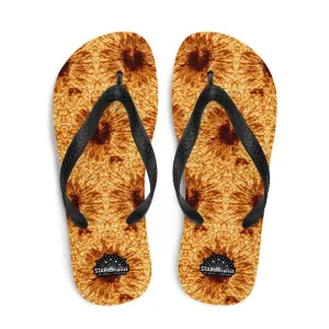 DKIST Sunspot Flip-Flops