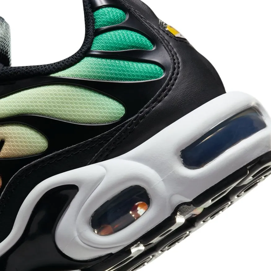Nike Air Max Plus DZ3670-001